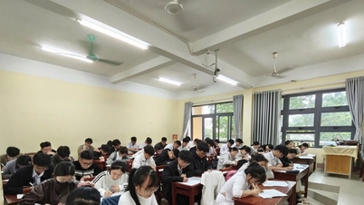 When career guidance is no longer a "sprint race"