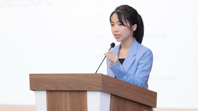 VEIE – en referanse for å hjelpe innovative vietnamesiske bedrifter med å komme inn på det internasjonale markedet.