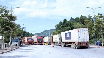 Tình hình xuất nhập khẩu hàng hóa qua các cửa khẩu tỉnh Lạng Sơn ngày 25/03/2026