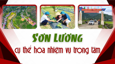 Son Luong specificerar nyckeluppgifter.
