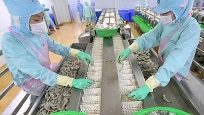 Tenger gyümölcsei exportja: Bővülő piacok, alkalmazkodás a geopolitikai változásokhoz.