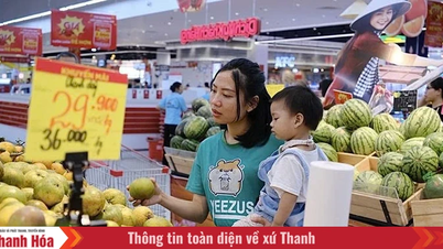 ការបង្កើនភាពប្រកួតប្រជែងរបស់អាជីវកម្មលក់រាយក្នុងស្រុក។
