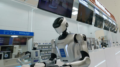 Humanoide Roboter „können nicht so bald flächendeckend eingesetzt werden“