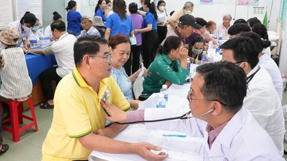 A cidade de Ho Chi Minh inaugura 60 pontos de triagem gratuitos, atendendo 16.000 pessoas.
