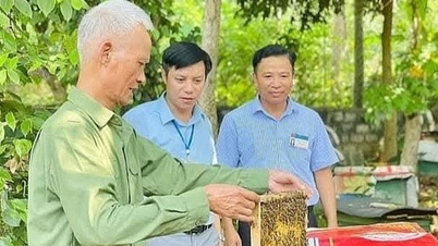 សេចក្តីសង្ខេប៖ សិក្ខាសាលា «ការអភិវឌ្ឍសេដ្ឋកិច្ចប្រាក់ពីទស្សនៈសន្តិសុខមិនមែនប្រពៃណី»