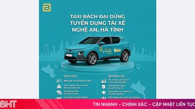 Bach Dai Dung Taxi VinFast الیکٹرک ٹیکسی ڈرائیوروں کو بھرتی کر رہی ہے۔