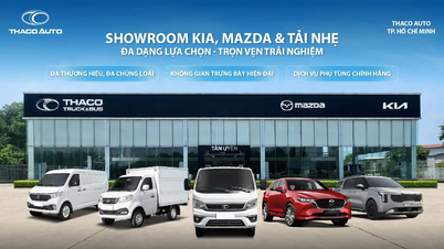Salle d'exposition Kia, Mazda et camions légers chez THACO AUTO à Hô Chi Minh-Ville – Un large choix, une expérience pratique.
