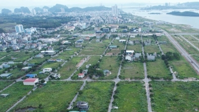 Quang Ninh: Határozott intézkedések megtétele az elakadt és régóta húzódó projektek akadályainak elhárítása érdekében.
