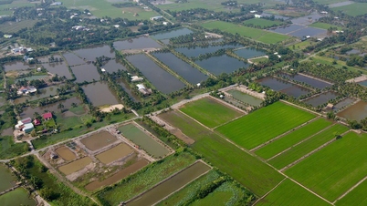 In Ho Chi Minh-stad gebruiken mensen een lijst van 27 soorten meerjarige gewassen om land dat voorheen voor rijstteelt werd gebruikt, om te zetten naar landbouwgrond.