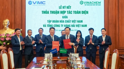 A VIMC és a Vinachem egyesíti erőit egy ipari és tengeri logisztikai ellátási lánc kiépítése érdekében.