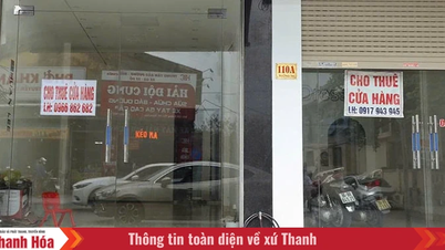 De nombreux biens immobiliers de premier choix affichent des panneaux annonçant des locations à long terme.