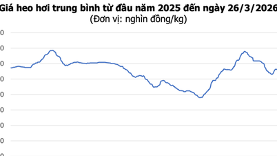Prix ​​du porc le 26 mars 2026 : Le marché est resté stable, le prix le plus élevé atteignant 69 000 VND/kg.