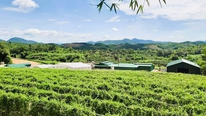 ສິນເຊື່ອສີຂຽວປະກອບສ່ວນເຂົ້າໃນການພັດທະນາແບບຍືນຍົງຂອງແຂວງເຫງະອານທາງທິດຕາເວັນຕົກ.