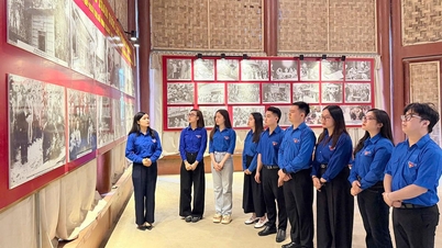 Se llevaron a cabo numerosas actividades para conmemorar el día de la fundación de la Unión de Jóvenes Comunistas Ho Chi Minh.