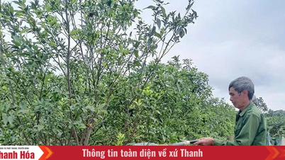 "הפירות המתוקים" של רוח נועזת ופרואקטיבית.