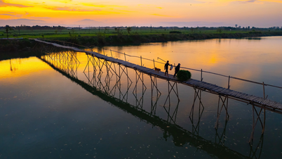 Da Nang'daki eşsiz bambu köprüsünde huzurlu bir an.