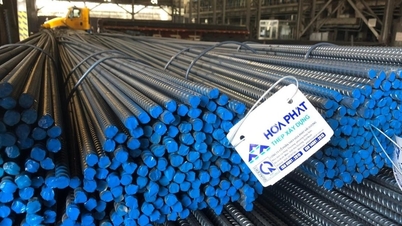 La vérité sur les informations selon lesquelles Hoa Phat Steel et Formosa Steel auraient été soumises à des droits antidumping par le Mexique.