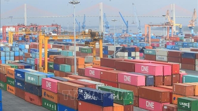 Produk-produk Vietnam menghadapi persyaratan baru: Kurangnya transparansi mempersulit pasar internasional.