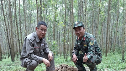 Quang Tri: Desarmerte en MK-82-bombe som veide omtrent 227 kg på en sikker måte.