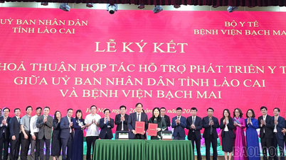 The People's Committee of Lao Cai province signed a comprehensive healthcare cooperation agreement with Bach Mai Hospital.