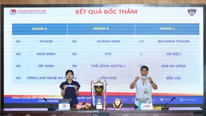 Draw for the schedule of the final round of the National U15 Football Championship