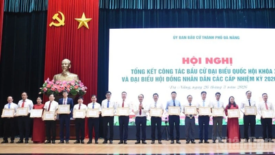 Da Nang a organizat cu succes alegerile, atingând o rată de prezență la vot de 99,92%.