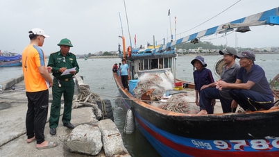 De provincie Quang Ngai voert aanhoudend strijd tegen illegale, ongereguleerde en ongerapporteerde visserij.