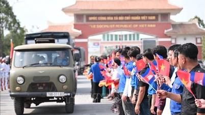 Thực hiện nhiệm vụ tìm kiếm, quy tập hài cốt liệt sĩ hy sinh tại Campuchia