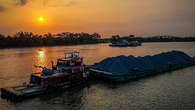 Day and night on the river, following barges carrying stones to the Ring Road 3 of Ho Chi Minh City during the 'frenzy'.
