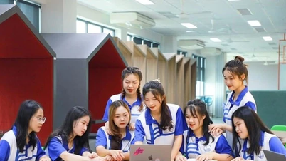 Tretten vietnamesiske universiteter har programmer rangert blant verdens beste.