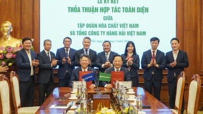 ក្រុមហ៊ុន Vinachem និងក្រុមហ៊ុន Vietnam Maritime Corporation ចុះហត្ថលេខាលើកិច្ចព្រមព្រៀងសហប្រតិបត្តិការគ្រប់ជ្រុងជ្រោយ។