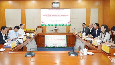 Pacific Construction Group Co., Ltd., Thai Nguyen'deki yatırım fırsatlarını araştırıyor.