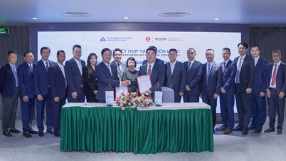 Tan A Dai Thanh colabora con Sinoma International Engineering para construir una planta de cemento de última generación en Kien Giang.