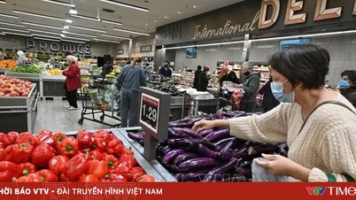 EUA: Preços de importação atingem recorde em 4 anos.