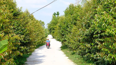 Trường Thành phát huy thế mạnh địa phương gắn với đổi thay diện mạo nông thôn