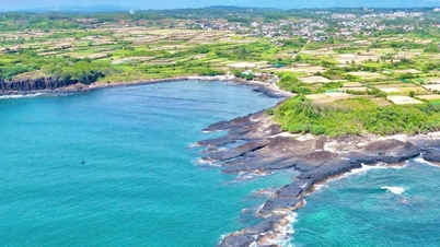 Quang Ngai province surveys the possibility of developing scuba diving tourism at Ganh Yen and Hon Nhan.