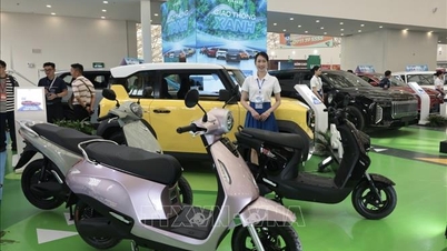 The electric motorcycle market is accelerating, while the gasoline motorcycle market continues its upward trend.