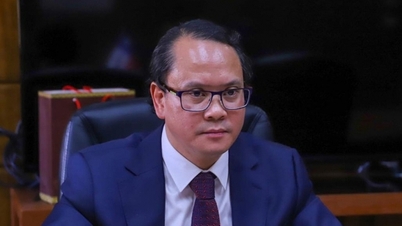 Vietnam–Chile: Egy 55 éves utazás, amely áthidalja a szakadékot és megalapozza a jövőt.