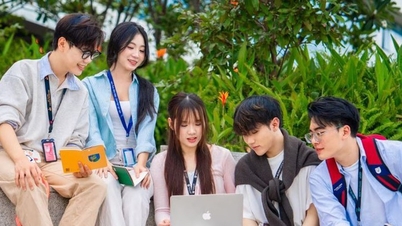 Vietnam telt 13 universiteiten die tot de wereldtop behoren op het gebied van hun vakgebied.