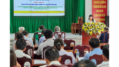 ការលើកកម្ពស់ការអភិវឌ្ឍតំបន់ដាំដុះស្រូវដែលមានគុណភាពខ្ពស់ និងមានការបំភាយឧស្ម័នទាប។