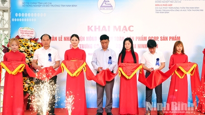 ពិធីបើកសប្តាហ៍ផលិតផលកសិកម្ម Lao Cai នៅខេត្ត Ninh Binh