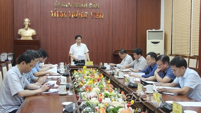 Proposal to provide support of up to 50 million VND for dismantling substandard fishing vessels.