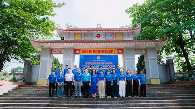Inauguration of the project 'Digitizing Red Addresses - Mai Thuy Martyrs' Cemetery'