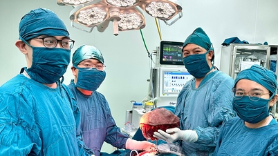 Surgical removal of a 4kg phyllodes tumor from a female patient.