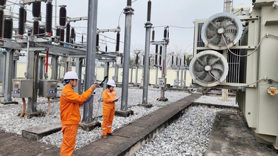 La société Tuyen Quang Power Company promeut l'application des sciences et des technologies, l'automatisation et la transformation numérique dans ses opérations de production et commerciales.