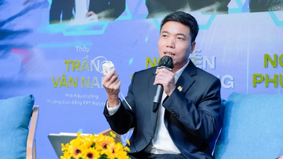 Arbeidsmarkt in de halfgeleiderindustrie: lessen uit Duitsland en de lacune in de Vietnamese markt.