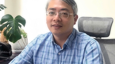 El subdirector Hoang Ninh: La nueva ley promueve el comercio electrónico sostenible.