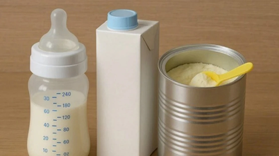 Terugroepactie van meerdere partijen zuigelingenvoeding: Waarschuwing voor risico's van de bacterie Bacillus cereus.