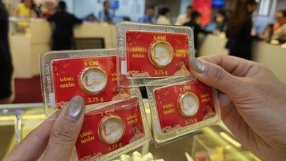 By the end of March 26th, gold prices at SJC, Mi Hong, and Bao Tin Minh Chau continued to fall.