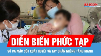 Mekong Delta: Dengue fever and hand, foot, and mouth disease cases surge, one death recorded.